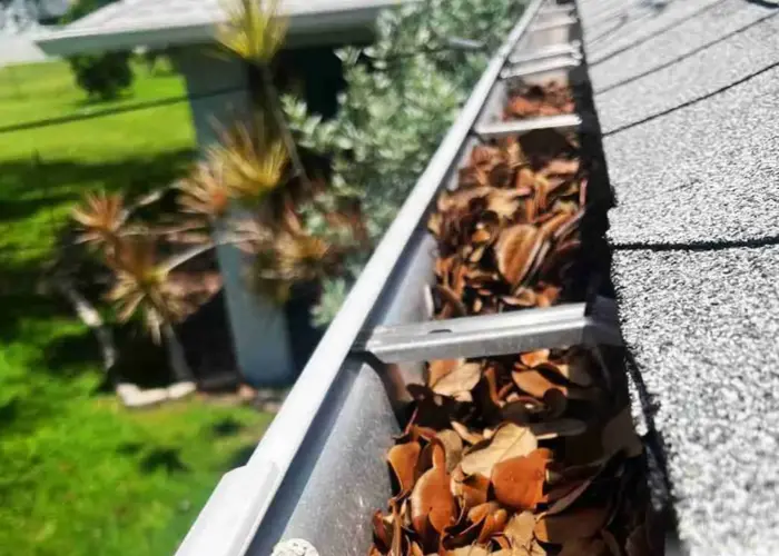 Weldon Spring gutter cleaning home page
